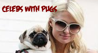Celebrities with Pugs (with Pics & Videos) celebs-with-pugs