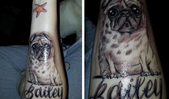 forearm-pug-tattoo-on-julie-andersen-by-alex-vasquez-nampa-idaho-usa forearm-pug-tattoo-on-julie-andersen-by-alex-vasquez-nampa-idaho-usa