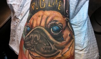 hand-pug-tattoo-on-tom-from-beards-against-domestic-violence-sheffield-by-john-freyvogel-at-bodyworks-tattoo hand-pug-tattoo-on-tom-from-beards-against-domestic-violence-sheffield-by-john-freyvogel-at-bodyworks-tattoo