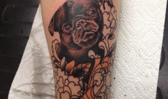 leg-pug-tattoo-by-joey-luck-at-tattooed-planet-classic-tattoo-parlor-tempe-arizona-usa leg-pug-tattoo-by-joey-luck-at-tattooed-planet-classic-tattoo-parlor-tempe-arizona-usa