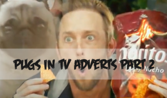 Funny Pug Videos Part 4 – Pugs in TV Adverts 2 pug-tv-ad-02