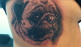 rib-pug-tattoo-anna-zavrotny-falls-pennsylvania-usa-by-charlie-hagenbach-at-570-tattoing-co rib-pug-tattoo-anna-zavrotny-falls-pennsylvania-usa-by-charlie-hagenbach-at-570-tattoing-co