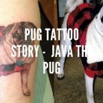 Pug Tattoo Story - Memorial Tattoo of Java the Pug
