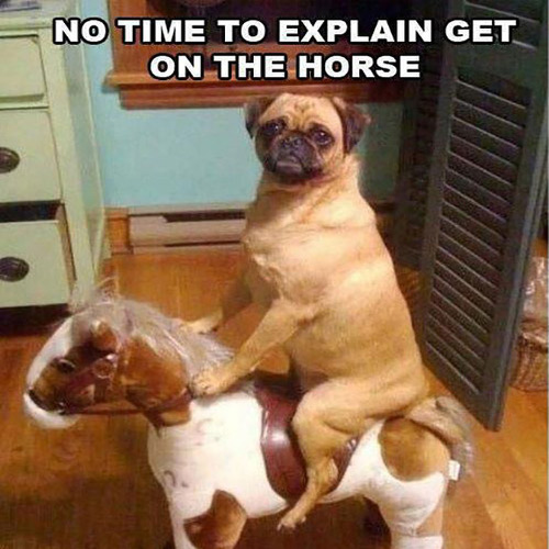 pug-meme-no-time-to-explain-get-on-the-horse