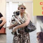 Celebrities with Pugs (with Pics & Videos)