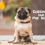 Cutting Down the Cost of Pet Insurance