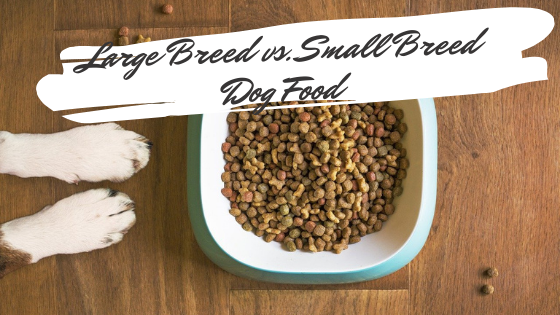 Large Breed vs. Small Breed Dog Food What’s the Difference? Lucky Pug
