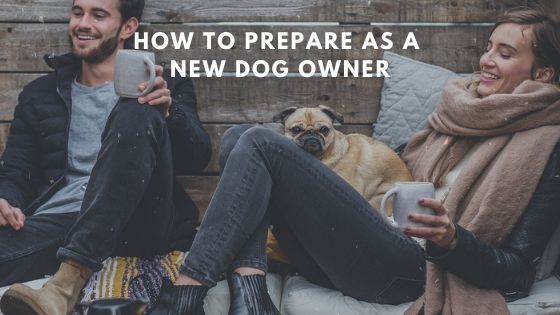 How to Prepare as a New Dog Owner