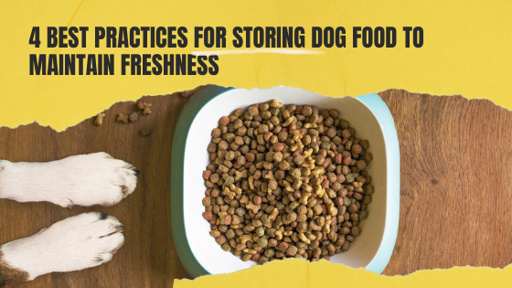 4 Best Practices for Storing Dog Food to Maintain Freshness
