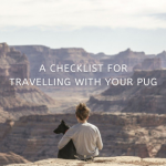 A Checklist for Travelling With Your Pug