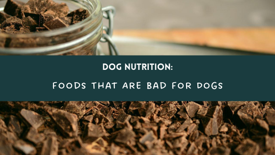 Dog Nutrition: Foods That Are Bad For Dogs