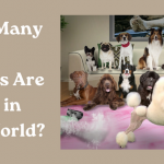 How Many Dog Breeds Are There in the World