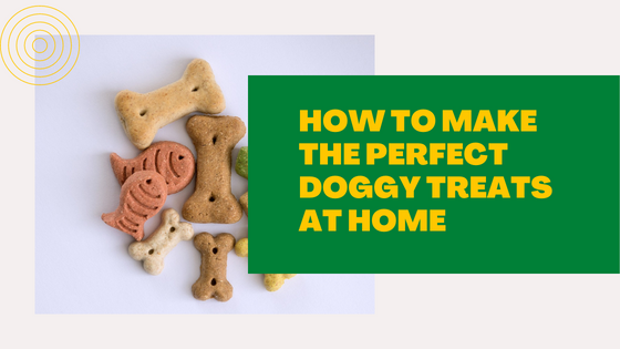 How to Make the Perfect Doggy Treats at Home