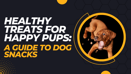 Healthy Treats For Happy Pups: A guide To Dog Snacks