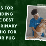 Tips for Finding the Best Veterinary Clinic for Your Pug