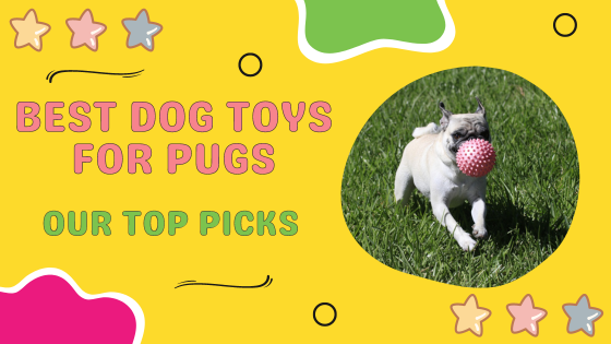 11 Best Dog Toys for Pugs That’ll Make Their Tails Wag!: Our Top Picks