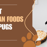 what human foods can pugs eat
