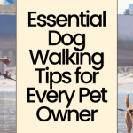 Essential Dog Walking Tips for Every Pet Owner