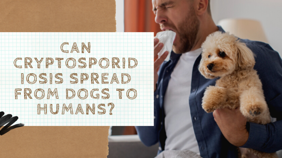 Can Cryptosporidiosis Spread from Dogs to Humans?