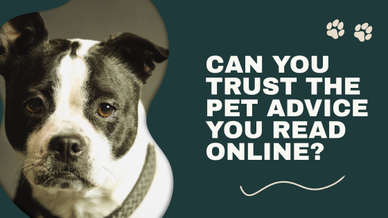 Can You Trust the Pet Advice You Read Online?