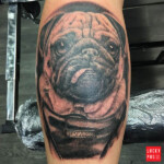 Frank the pug tattoo on Graham Melvin, by Kev at Draconian Tattoo, Aberdeen