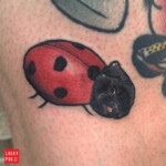Lady Pug Tattoo by Kyle Evans